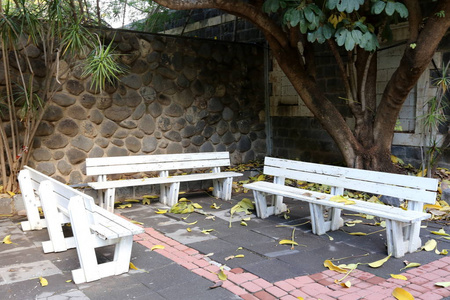 以色列北部开放的城市公园里有一张长凳