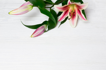 美丽的粉红色,黄色,白色,百合花,木制背景,文字空间照片