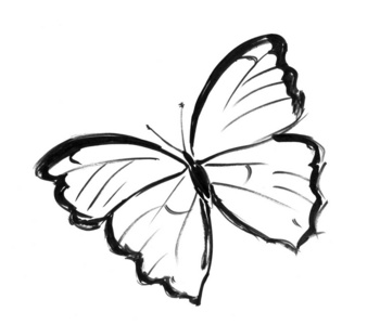 蝴蝶的黑色水墨手绘图片