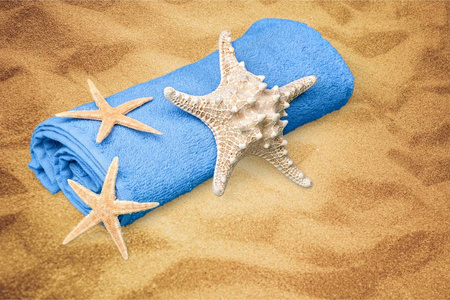 海星和蓝毛巾的沙滩旅行概念