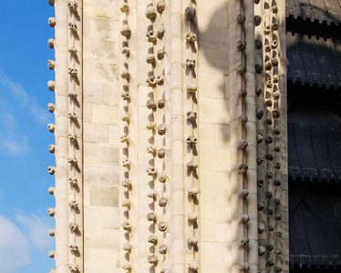 巴黎圣母院法国大教堂的装饰元素