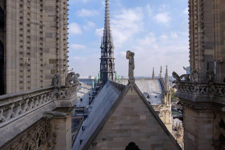 巴黎圣母院巴黎大教堂屋顶