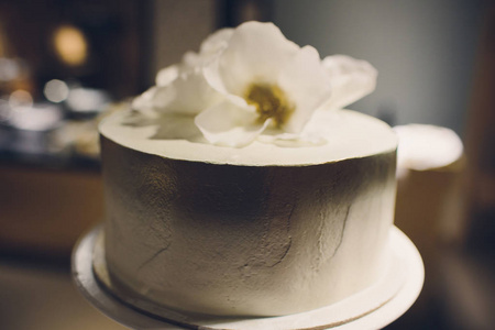 婚礼接待处的美丽和美味婚礼蛋糕