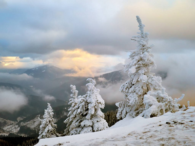 冬天的风景，树木和山脉覆盖着雪和霜