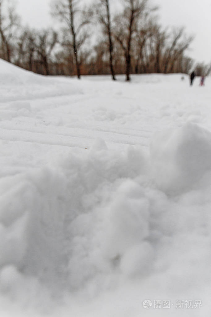 冬季森林与树木覆盖着雪