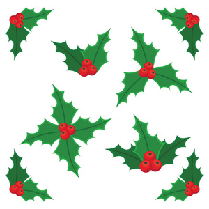 圣诞冬青浆果叶。 圣诞节的象征。 在白色背景上隔离的矢量插图。