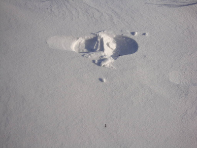 人类腿上的痕迹是由冬季风形成的美丽的白色雪质地。