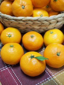 新鲜韩国水果，济州柑橘，柑桔