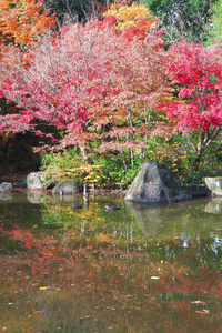 日本东京2018年11月29日东京初冬的日本花园