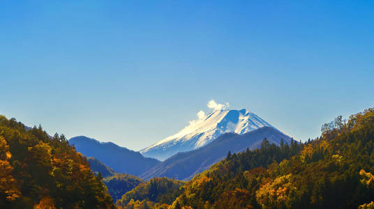 秋季落叶和富士山附近的富士山。具有蓝天背景的日本树木..