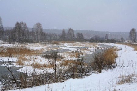 在阴天的早春，森林附近的河水解冻