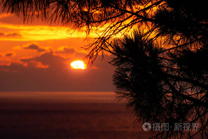 克罗地亚杜布罗夫尼克，夕阳前的松树枝在云层后面，最后的阳光照射在海洋上