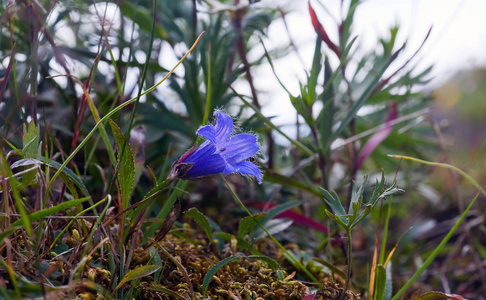 山石儿童画图片图片