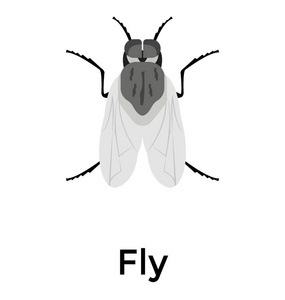 家蝇或苍蝇图标矢量