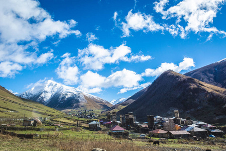 真正的高山村庄在谷图片