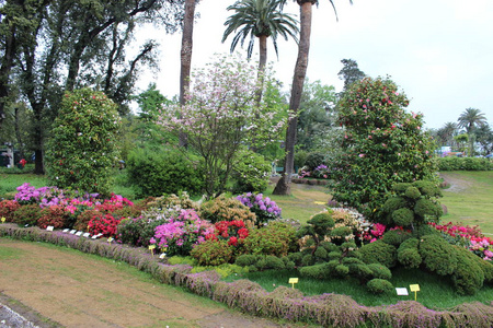 今年春天，在欧洲发罗拉事件中，美丽的佛拉回自然花公园。