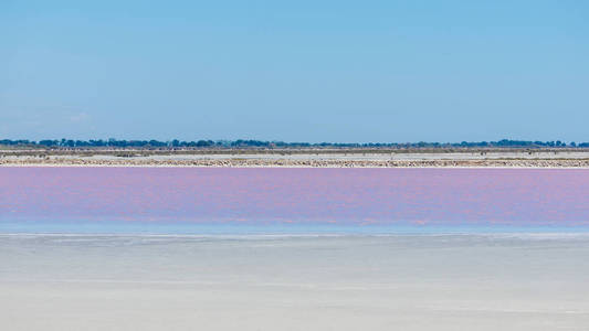 Aigues Mortins Salins Du Midi全景与盐沼