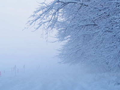 美丽的雪和霜冻的冬季景观。