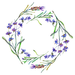 紫色的薰衣草花。 春天的野花。 水彩背景插图。 花环框架边框。