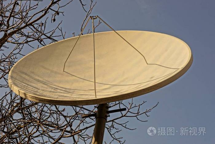 在树枝和天空的背景上有一个巨大的圆形卫星天线照片-正版商用图片14z