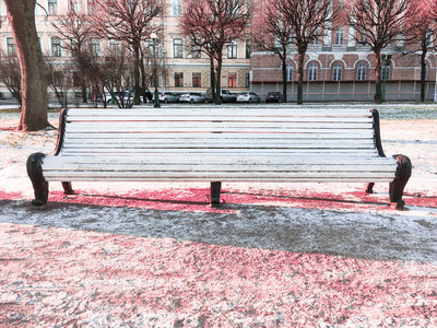 圣彼得堡最美丽的公园之一的第一场雪