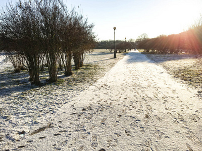 圣彼得堡最美丽的公园之一的第一场雪