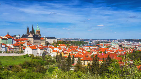 布拉格城堡和圣维塔斯大教堂捷克共和国。 全景图
