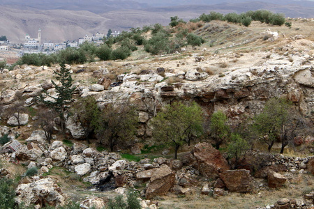 石头躺在以色列北部开放的城市公园里