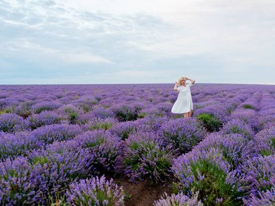 华丽薰衣草层叠图片