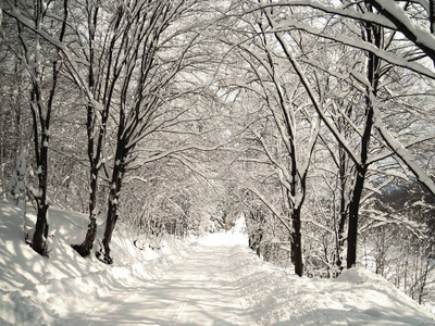 山里的雪道