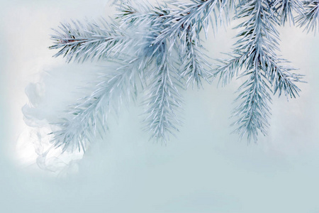 水色白色背景丙烯酸水绿色在烟蒸汽霜阴霾雪云杉分支针圣诞树冬天