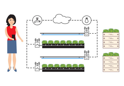 女人控制着智能农场和农业。温度，湿度，光照水平的监测与控制..植物的栽培..新技术。高产。