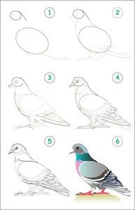 页面展示了如何一步地学习画一只可爱的鸽子。 培养儿童绘画和着色的技能。 回学校去。 矢量卡通形象。