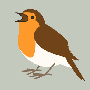 知更鸟插画-知更鸟手绘-知更鸟卡通图-摄图新视界