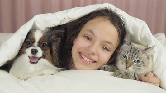 愉快的少女沟通与狗帕皮龙和泰国猫在床上
