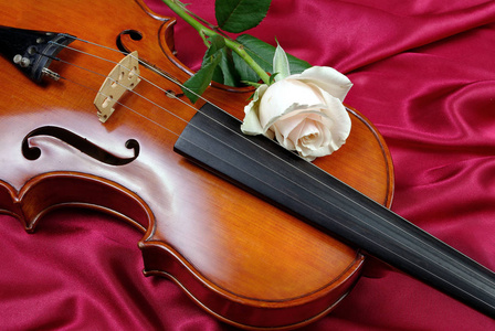 小提琴和白色玫瑰在丝绸背景上。 浪漫卡片。