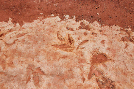 莫恩科皮恐龙足迹这些恐龙足迹是在大约2亿年前的早侏罗世时期形成的，并得到了亚利桑那州北部大学古生物学家的证实。 位于土块附近