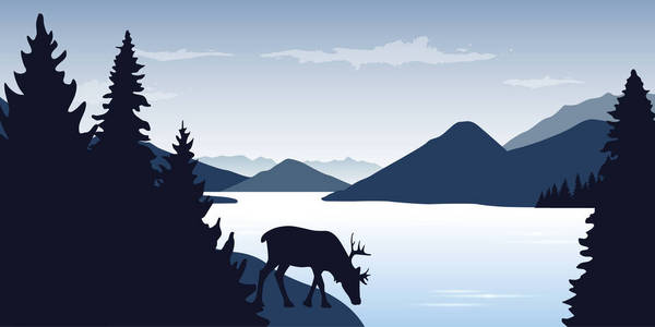 驯鹿喝的河流野生动物自然景观图片