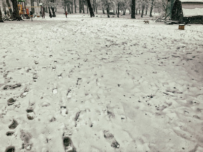 雪中的鞋带痕迹。巴库里亚尼冬季的开始