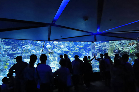 人们在主题公园参观大型水族馆