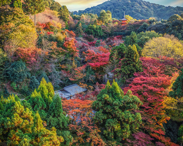 京都清水正孝寺的景色图片