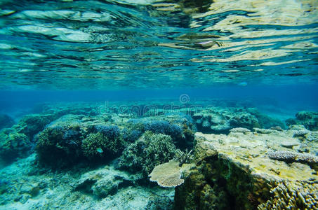 吉野海岸的礁石图片