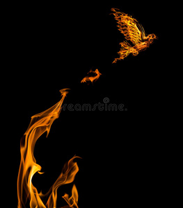 圣灵的火在白色火焰飞行鸽火焰飞行鸽孤立上黑凤凰标志创意标志的神话