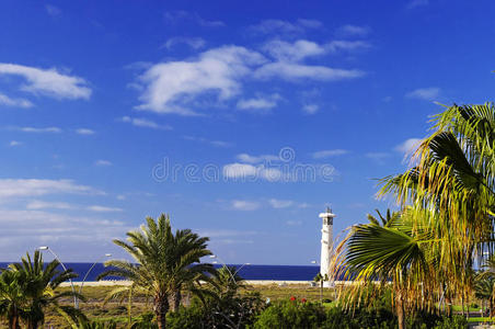 建筑 海岸 灯塔 刺耳 托皮 南方 金丝雀 太阳 莫罗 夏天