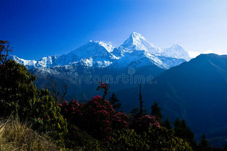 尼泊尔安纳普纳地区喜马拉雅美丽的风景