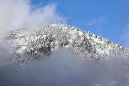 雾霭中的落日雪山