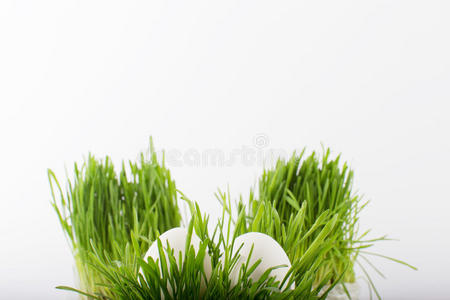 草地上的白色复活节彩蛋