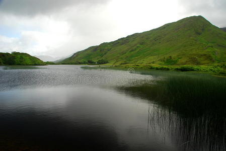 康内马拉 风景 自然 爱尔兰 旅游 高威 湖水 丘陵 小山