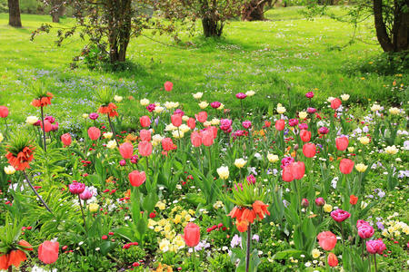 公园里五彩缤纷的春天般的花坛