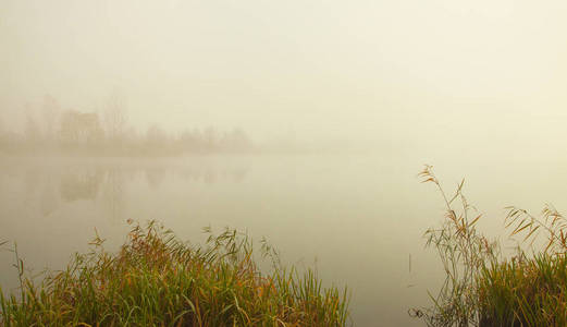 雾蒙蒙的早晨在湖边。 森林反射在平静的水中。 芦苇在前景中。 平静的秋景。